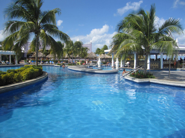 Large pool palm trees people free wallpaper - medium preview image