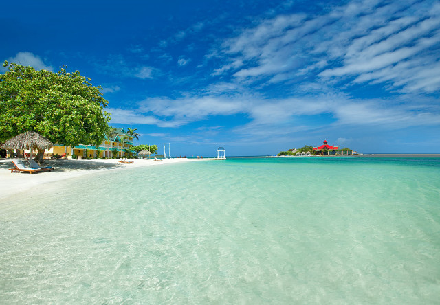 Beach hut palm tree blue free wallpaper - medium preview image