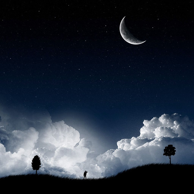 Trees grass moon clouds sky free wallpaper - medium preview image