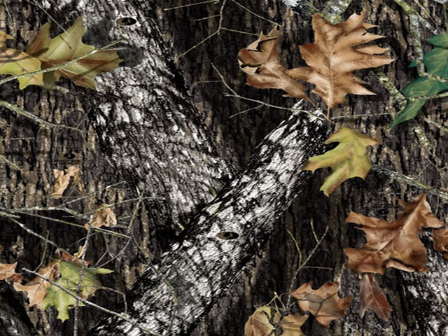 Tree leaves camouflage background white #2 free wallpaper - medium preview image