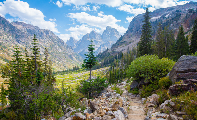 Rocky trail mountain trees grassy free wallpaper - medium preview image