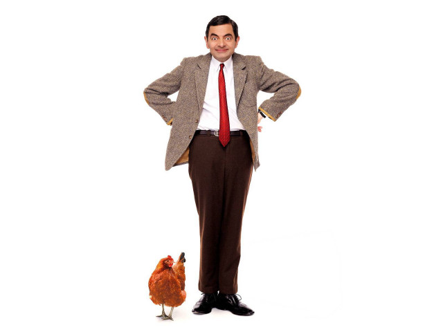 Man suit tie chicken portrait free wallpaper - medium preview image