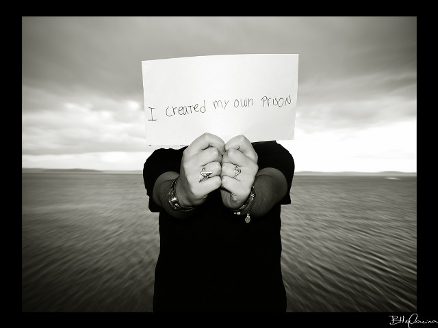 Woman holding sign craves own free wallpaper - medium preview image