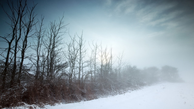 Snowy landscape trees road sun free wallpaper - medium preview image