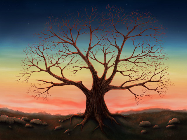 Tree no leaves sunset sky free wallpaper - medium preview image