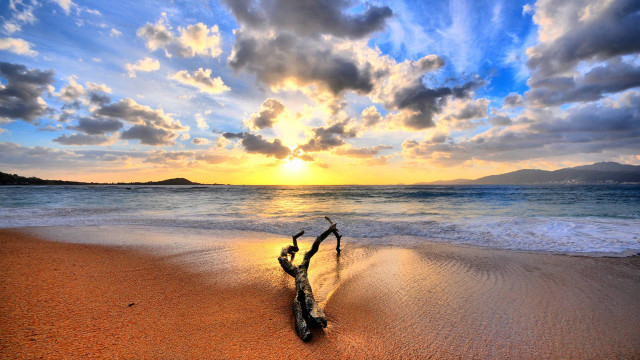 Tree branch beach sunset clouds #4 free wallpaper for desktop - medium preview image