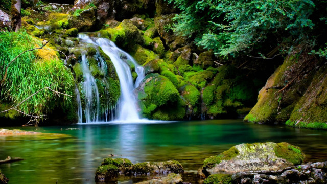 Waterfall forest mossy rocks trees #7 free wallpaper - medium preview image