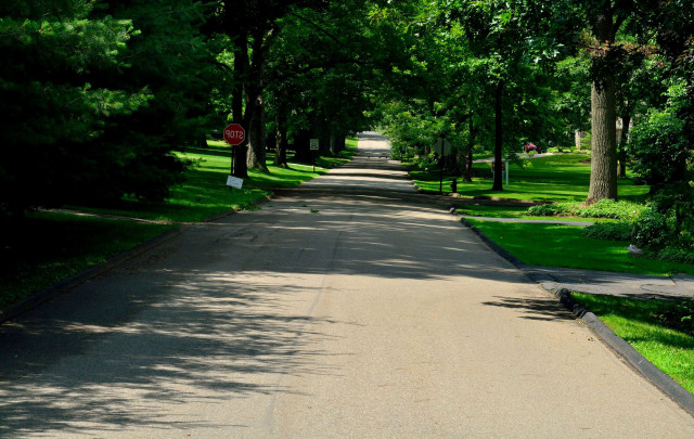 Street stop sign trees lining free wallpaper - medium preview image