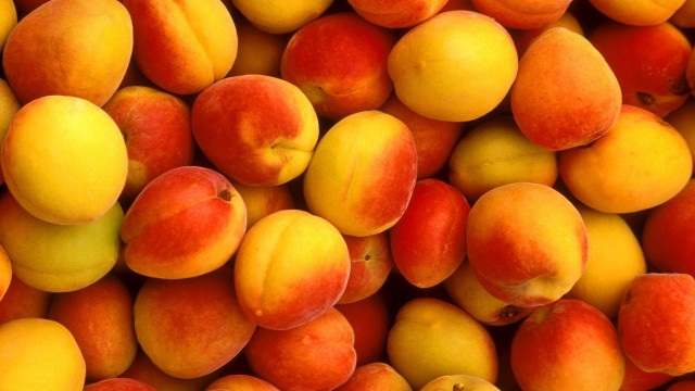 Peaches apricots pile peach closeup free wallpaper - medium preview image
