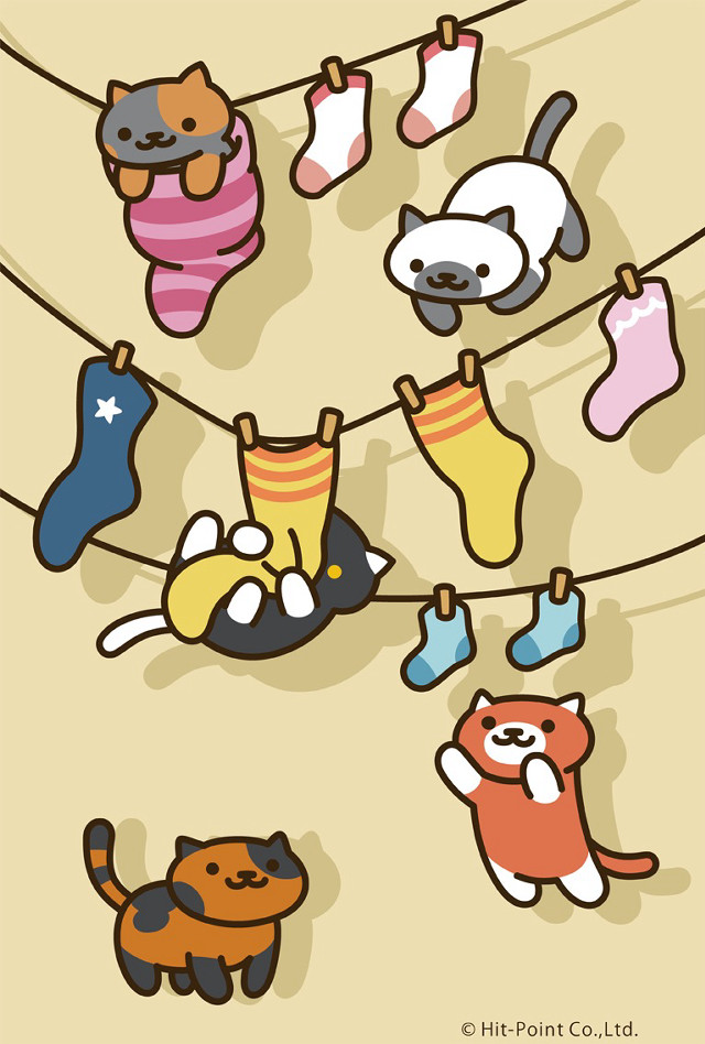 Socks hanging clothesline cats dogs free wallpaper - medium preview image