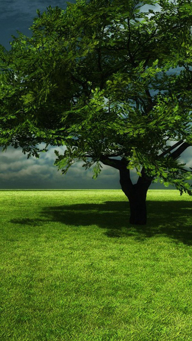 Tree field cloudy sky bench free wallpaper - medium preview image