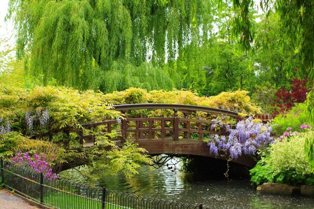 Bridge pond trees flowers park free wallpaper - medium preview image