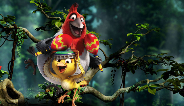 Bird parrot back tree branch free wallpaper - medium preview image