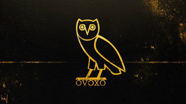 Yellow owl black surface ovoxo free wallpaper - medium preview image