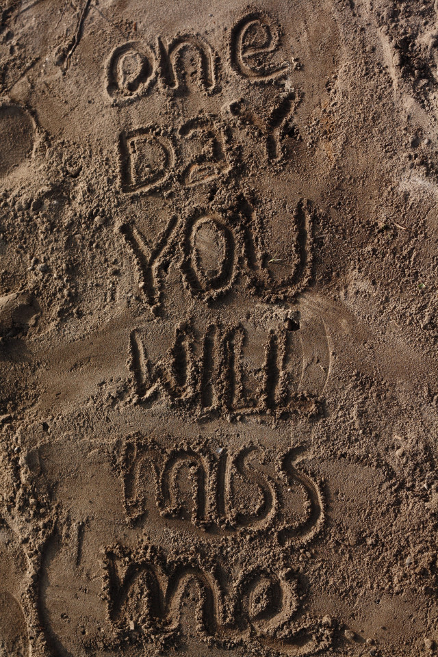 Sand message dog cat one free wallpaper - medium preview image