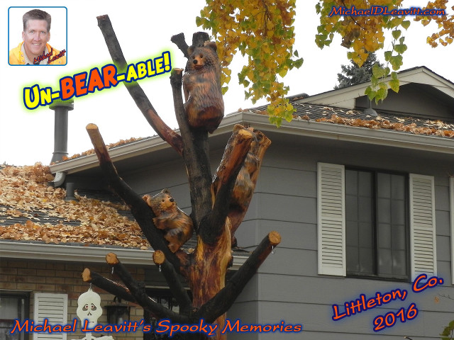 Cut down tree bear sign free wallpaper - medium preview image