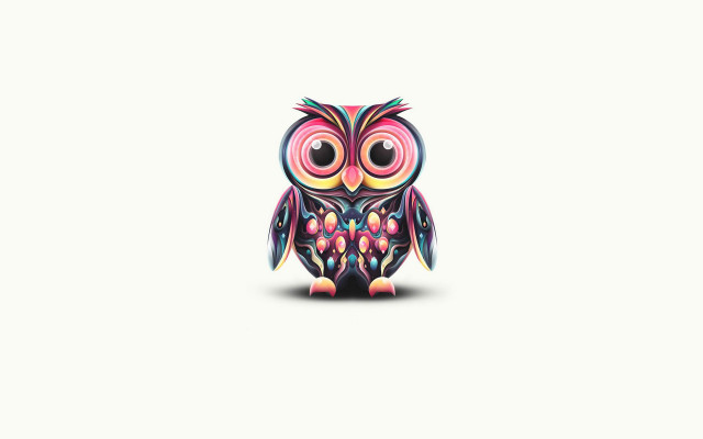 Colorful owl white surface white free wallpaper - medium preview image