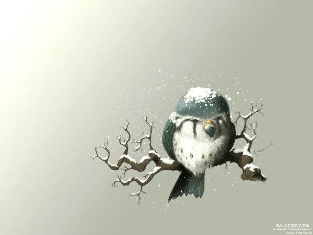 Bird glasses branch snow snowflakes #2 free wallpaper - medium preview image