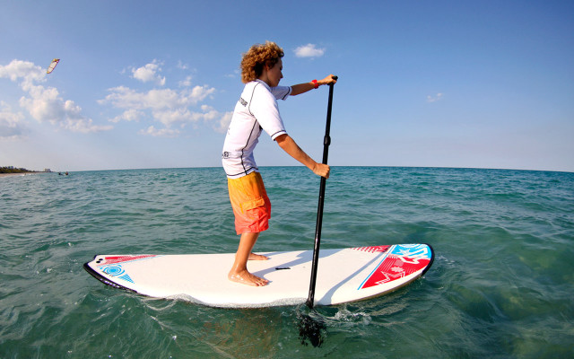 Woman surfboard ocean paddle paddleboard free wallpaper - medium preview image