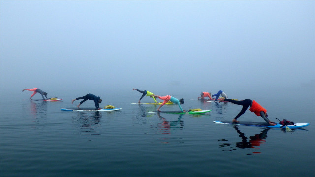 Surf yoga group foggy ocean free wallpaper - medium preview image