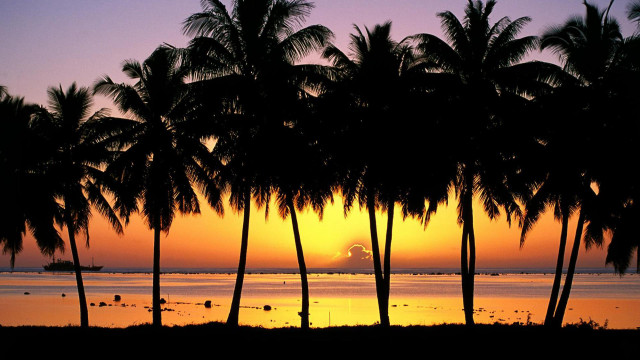 Sunset palm trees boat purple #2 free wallpaper - medium preview image