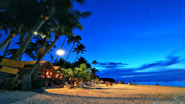Beach palm trees blue sky #20 free wallpaper - medium preview image