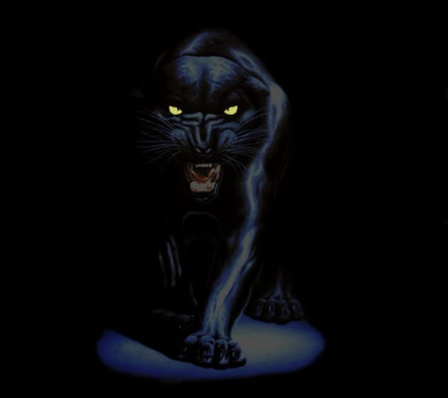 Black cat glowing eyes blue free wallpaper - medium preview image