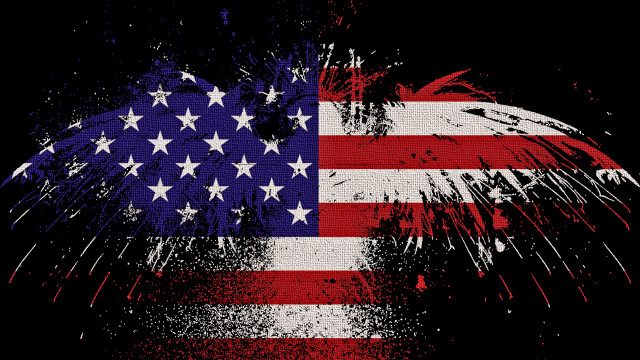 Flag bird backside bird frontside free wallpaper - medium preview image