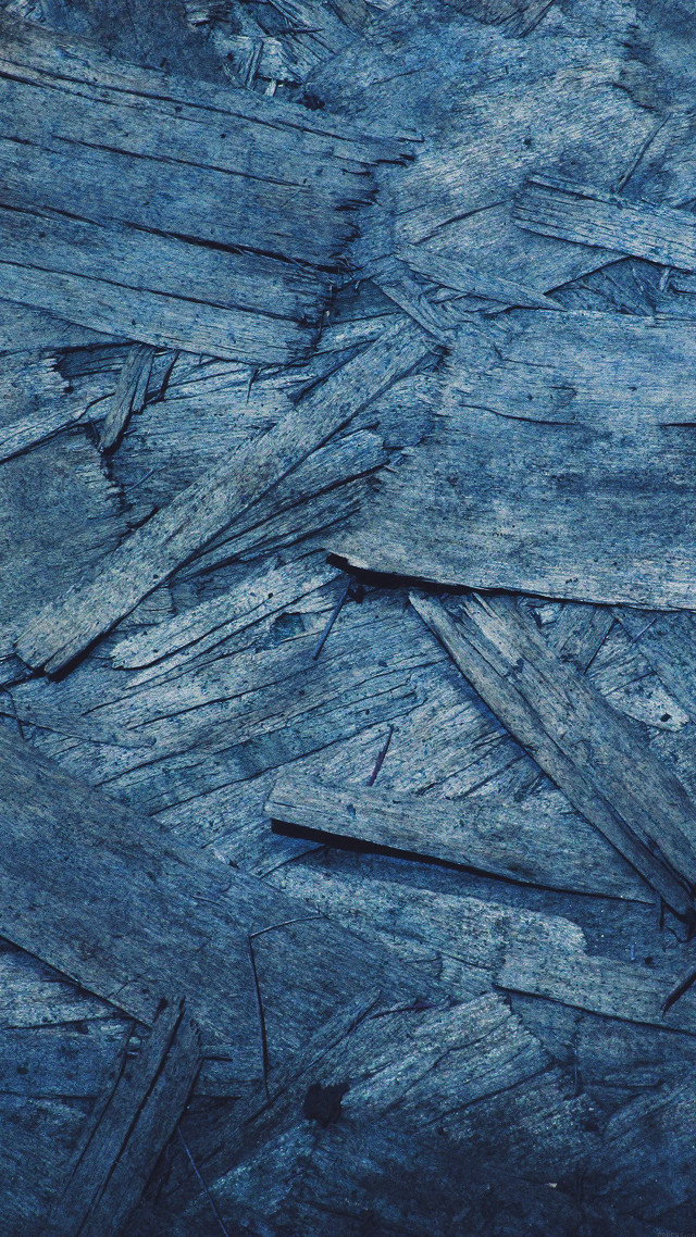 Blue surface bird back black free wallpaper - medium preview image