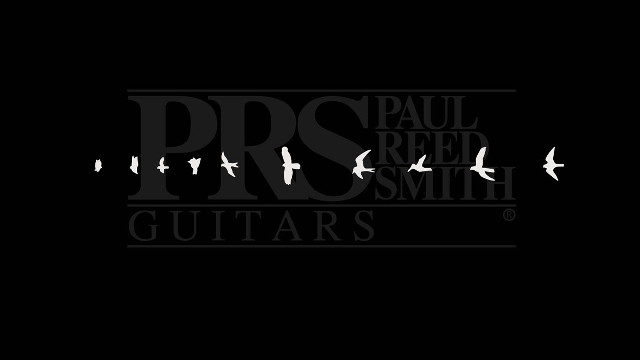 Paul reed smith guitar birds free wallpaper - medium preview image