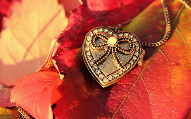 Heart shaped lock red rose free wallpaper - medium preview image