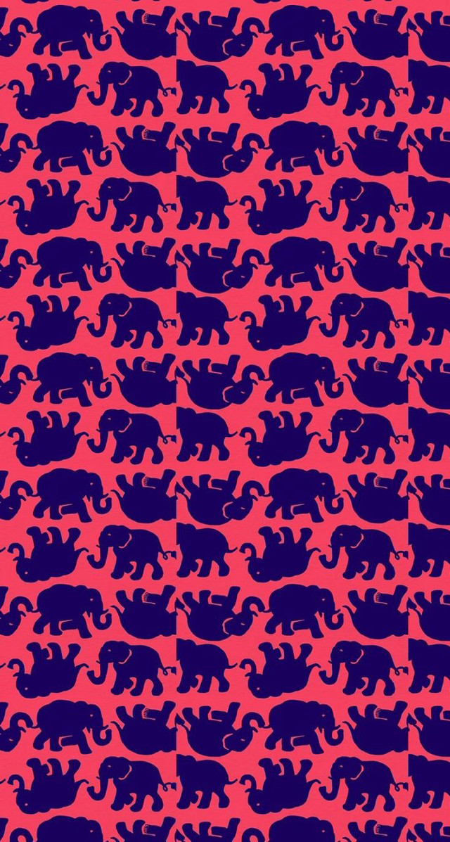 Elephants red background blue squares free wallpaper - medium preview image