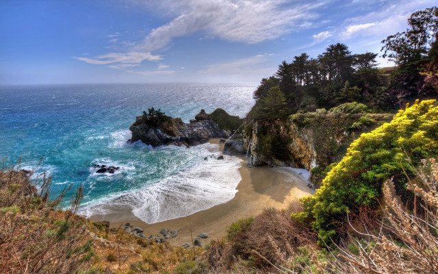 Beach water trees cliff rocks free wallpaper - medium preview image