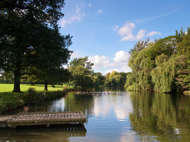 Lake dock trees grassy people free wallpaper - medium preview image