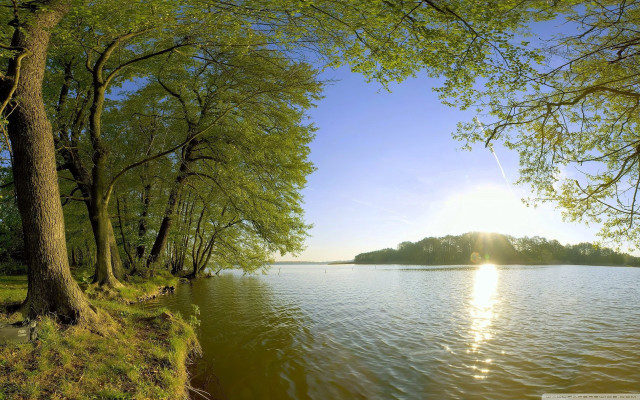 Lake trees forest sunlight nature free wallpaper - medium preview image