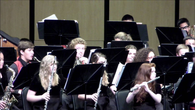 Concert group people instruments conductor free wallpaper - medium preview image