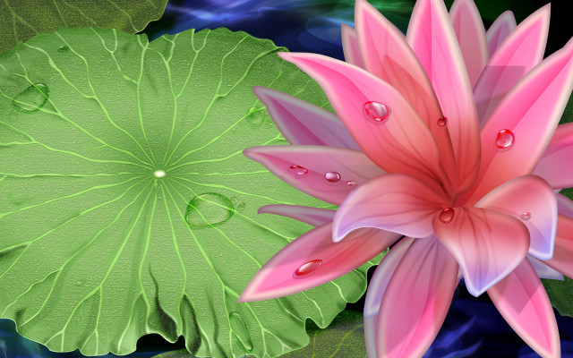 Pink flower green leaves water #2 free wallpaper - medium preview image