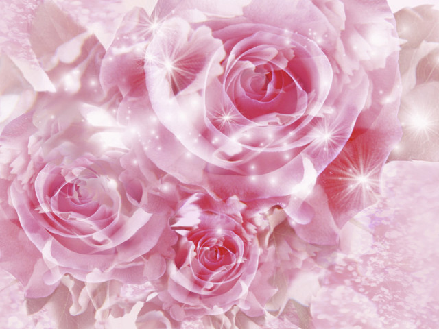Pink flower sparkles petals frame free wallpaper - medium preview image