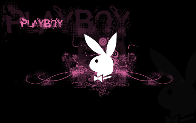 Rabbit standing dark pink background free wallpaper - medium preview image