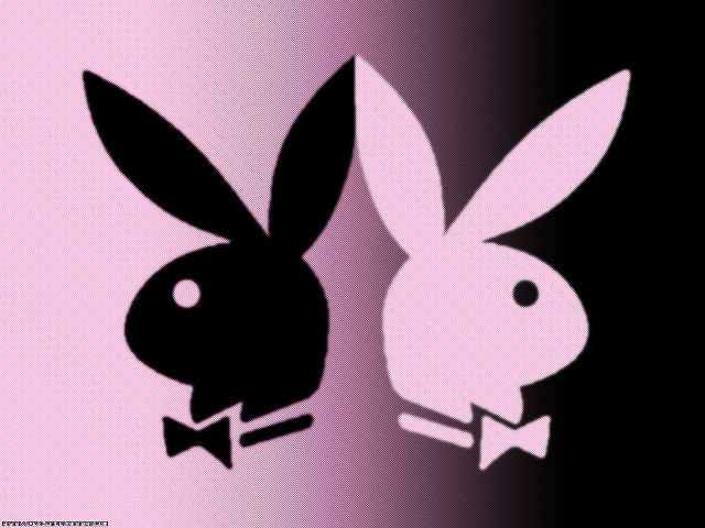 Rabbit bowtie popart gradient background free wallpaper - medium preview image