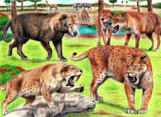 Animals field trees water foreground free wallpaper - medium preview image