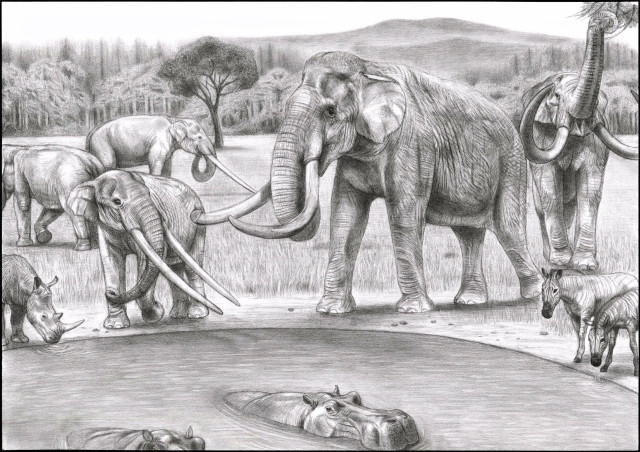 Elephants water man drawing herd free wallpaper - medium preview image