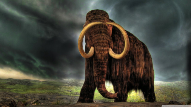 Mammoth field cloudy sky storm free wallpaper - medium preview image