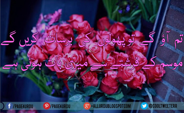 Bouquet red roses quote foreign free wallpaper - medium preview image