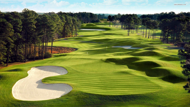 Golf course green sand trap #3 free wallpaper - medium preview image