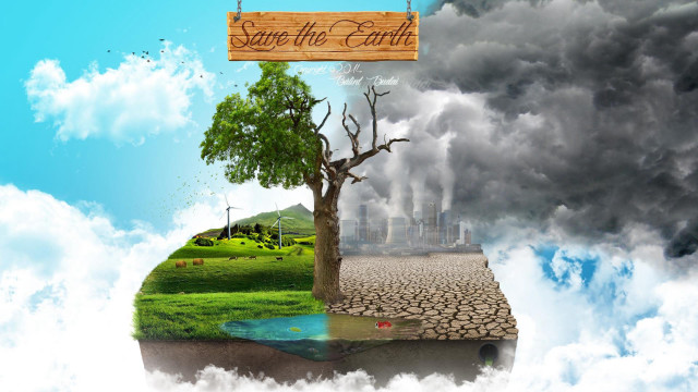 Tree save the earth sign free wallpaper - medium preview image