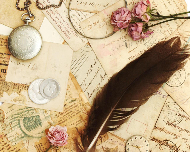 Feather soft light delicate nature free wallpaper - medium preview image