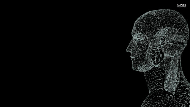 Black white brainmap human head free wallpaper - medium preview image