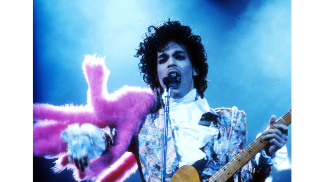 Man guitar stuffed animal stage free wallpaper - medium preview image