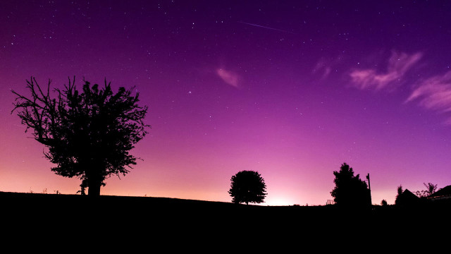 Purple sky tree star filled free wallpaper - medium preview image